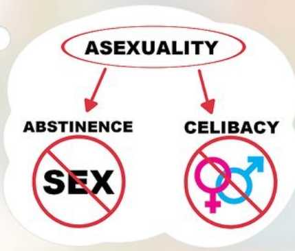 ¿Asexual sin querer serlo? Tenemos la solución