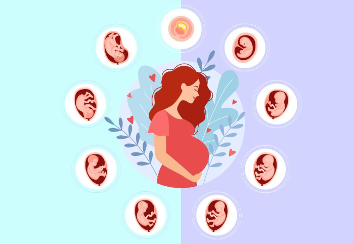 Embarazo, Aborto, Legalidad, Precauciones y Todo lo que Debes Saber